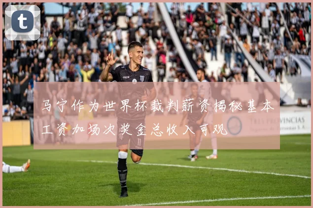 马宁作为世界杯裁判薪资揭秘基本工资加场次奖金总收入可观