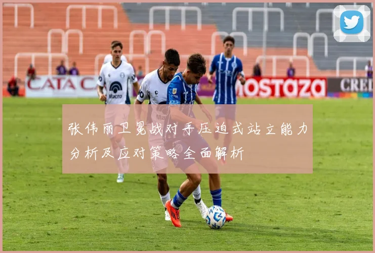 张伟丽卫冕战对手压迫式站立能力分析及应对策略全面解析