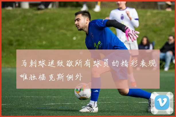 马刺球迷致敬所有球员的精彩表现唯独福克斯例外