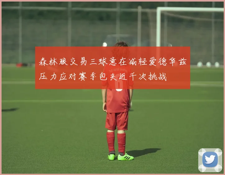 森林狼交易三球意在减轻爱德华兹压力应对赛季包夹近千次挑战