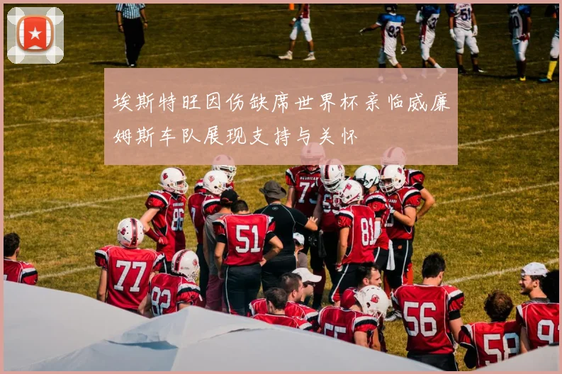埃斯特旺因伤缺席世界杯亲临威廉姆斯车队展现支持与关怀