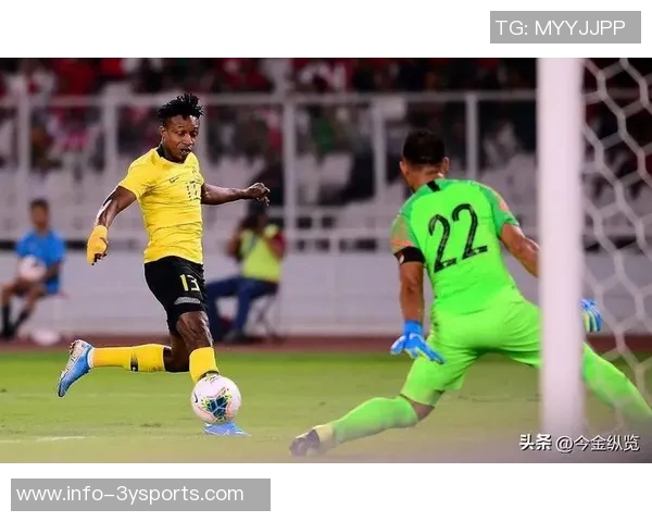 阿媒揭马来西亚归化球员身份造假问题祖父母均无马来西亚血统 阿媒揭马来西亚归化球员身份造假问题祖父母均无马来西亚血统